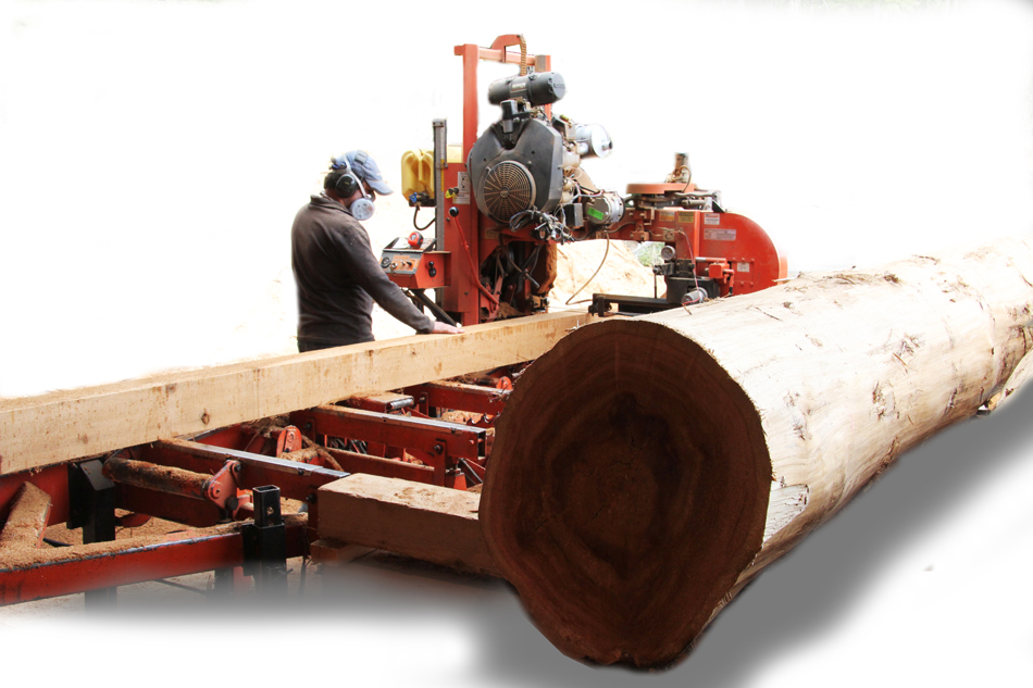 Cedar lumber